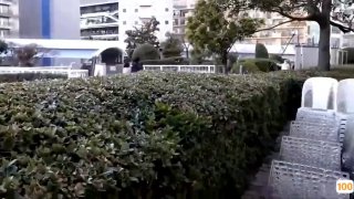 国产视频一区在线看⭕❌❌⭕久久久久国产成人精品亚洲午夜,成人免费毛片一区二区三区,国产成人久久精品激情91,国产成人无码精品久久久免费
